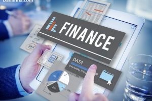 Mengenal Cara Kerja dan Fungsi Lembaga Pembiayaan