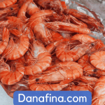 Bisnis Jual Beli Udang: Proses, Tantangan, dan Peluang