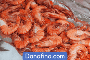 Bisnis Jual Beli Udang: Proses, Tantangan, dan Peluang